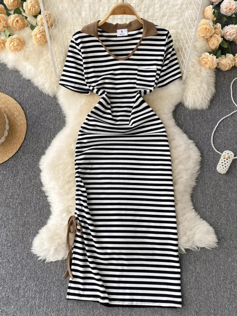 Retro Style Polo Dress Preorder Ships 5/20 - Seasonal Secrets